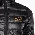 Pánská bunda  EA7 Emporio Armani Train Core ID Down Light black/gold logo 8