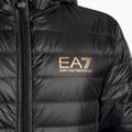 Pánská bunda  EA7 Emporio Armani Train Core ID Down Light Hoodie black/gold logo 3