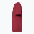 Pánské tričko Oakley Bark Ellipse Tee iron red 3
