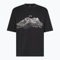 Pánské tričko Oakley Wired Mtn Scape T-Shirt blackout 5