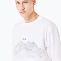 Pánské tričko Oakley Wired Mtn Scape Tee white 5