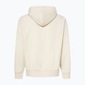 Pánská mikina Oakley MTL PO Hoodie mist 2