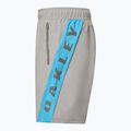 Pánské šortky Oakley Training Sidepanel cement 3