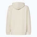Pánská mikina Oakley New Ellipse Zip Hoodie mist 2
