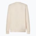 Pánská mikina Oakley New Ellipse Crew Sweatshirt mist 2