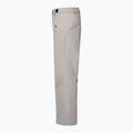 Pánské lyžařské kalhoty Oakley Canopy Insulated cement 8