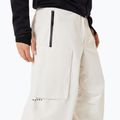 Pánské snowboardové kalhoty Oakley Channel Cargo mist 4