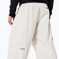 Pánské snowboardové kalhoty Oakley Channel Cargo mist 7