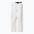 Pánské snowboardové kalhoty Oakley Channel Cargo mist 8