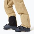 Pánské lyžařské kalhoty Oakley Sub Temp RC Gore-Tex 2.0 pebble 6