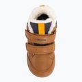 Dětské boty Geox Elthan tobacco/navy 6
