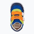 Dětské boty Geox Iupidoo royal / orange 12