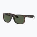 Sluneční brýle Ray-Ban Justin Classic havana/dark green polarized 4