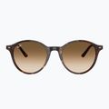 Sluneční brýle Ray-Ban Bernard havana/brown gradient 2
