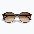 Sluneční brýle Ray-Ban Bernard havana/brown gradient 3