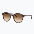 Sluneční brýle Ray-Ban Bernard havana/brown gradient 4