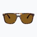 Sluneční brýle Ray-Ban RB2213 havana/brown b-15 2