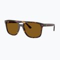 Sluneční brýle Ray-Ban RB2213 havana/brown b-15 4