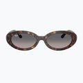 Sluneční brýle Ray-Ban RB2223 havana/gradient grey 2