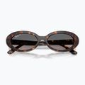 Sluneční brýle Ray-Ban RB2223 havana/gradient grey 3
