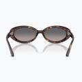 Sluneční brýle Ray-Ban RB2223 havana/gradient grey 5