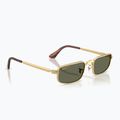 Sluneční brýle Ray-Ban RB3927 By A$Ap Rocky