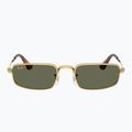 Sluneční brýle Ray-Ban RB3927 By A$Ap Rocky 2