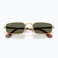 Sluneční brýle Ray-Ban RB3927 By A$Ap Rocky 3