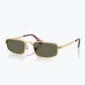 Sluneční brýle Ray-Ban RB3927 By A$Ap Rocky 4