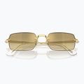Sluneční brýle Ray-Ban RB3928 By A$Ap Rocky arista gold/brown gold 3