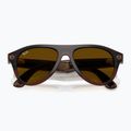 Brýle s kamerou Ray-Ban Meta Aviator transp. umber/trs jade 9