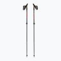 Hole Fizan Revolution Pro Nordic Walking černé S22 7532