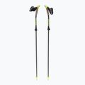 Hole Fizan Carbon Pro Impulse grey S23 CA10 pro nordic walking