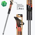 Nordic walking hole  Fizan Carbon Pro Impulse red 3