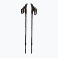 Nordic walking hole  Fizan Speed black 5