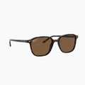 Sluneční brýle Ray-Ban Leonard tortoise/brown polarized