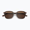 Sluneční brýle Ray-Ban Leonard tortoise/brown polarized 3