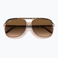 Sluneční brýle Ray-Ban Bill havana brown/transparent brown 3