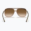 Sluneční brýle Ray-Ban Bill havana brown/transparent brown 5