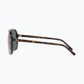 Sluneční brýle Ray-Ban Bill havana/blue 7
