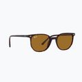 Sluneční brýle Ray-Ban Elliot havana brown/black polarized