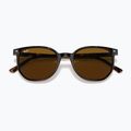 Sluneční brýle Ray-Ban Elliot havana brown/black polarized 3