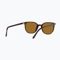 Sluneční brýle Ray-Ban Elliot havana brown/black polarized 6