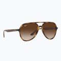 Sluneční brýle Ray-Ban RB4376 havana/brown gradient