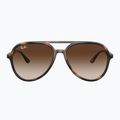 Sluneční brýle Ray-Ban RB4376 havana/brown gradient 2