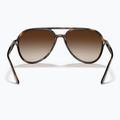 Sluneční brýle Ray-Ban RB4376 havana/brown gradient 5