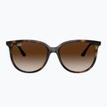 Sluneční brýle Ray-Ban RB4378 havana/brown gradient 2