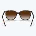 Sluneční brýle Ray-Ban RB4378 havana/brown gradient 3