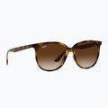 Sluneční brýle Ray-Ban RB4378 havana/brown gradient 5