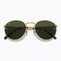 Sluneční brýle Ray-Ban New Round gold/green 3